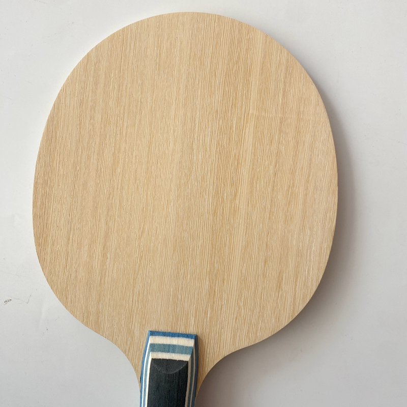 Lemuria VIS Carbon Fiber Table - Table Tennis Viscaria ulasan dan harga