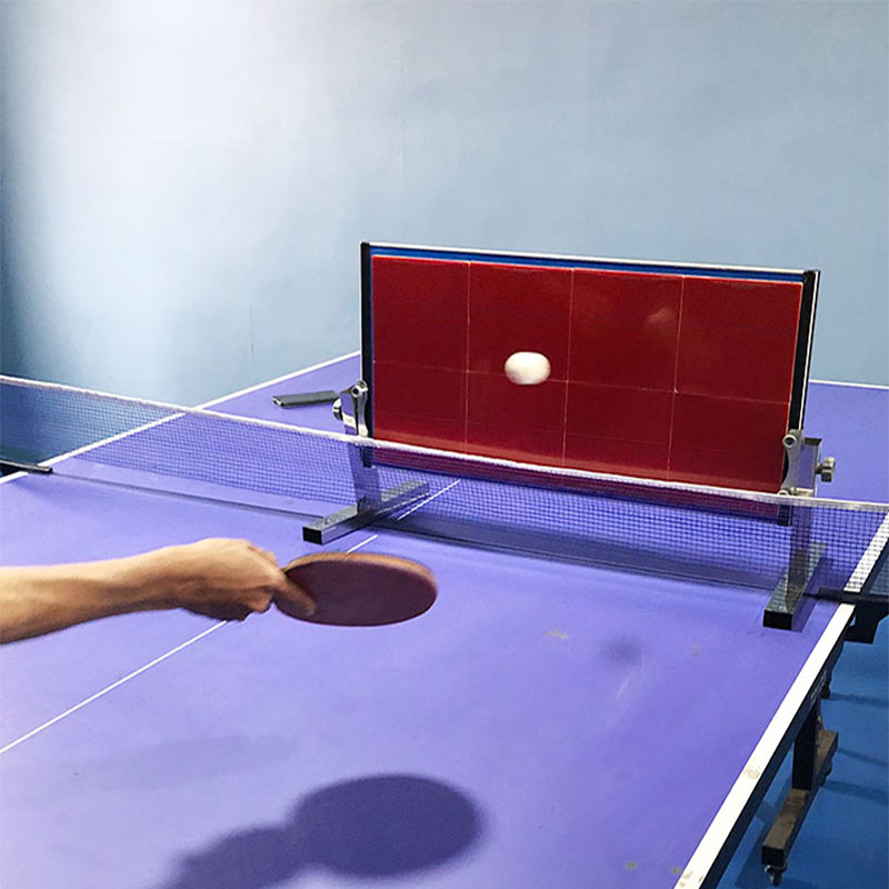 Home Table Tennis Rebound Boar - Table Tennis From ulasan dan harga